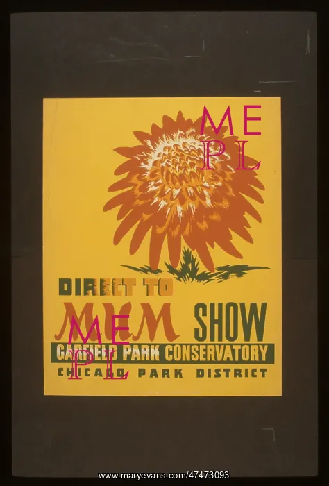 : Direct to mum show, Garfield Park Conservatory : Direct to mum show, Garfield Park Conservatory