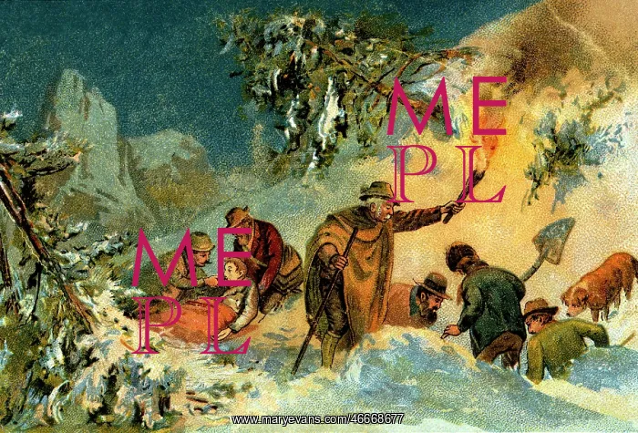 : disasters, avalanches, avalanche, rescue of buried : disasters, avalanches, avalanche, rescue of buried