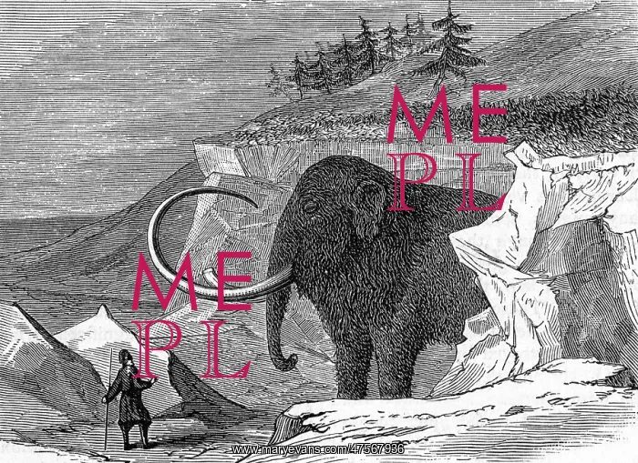 : Discovery of the Adams mammoth, 1799 : Discovery of the Adams mammoth, 1799