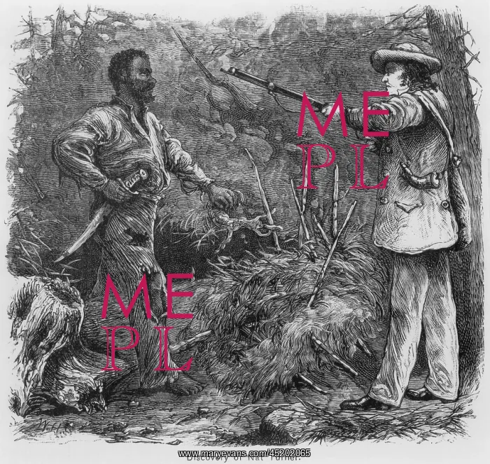 : Discovery of Nat Turner (1800-1831), by ? : Discovery of Nat Turner (1800-1831), by ?