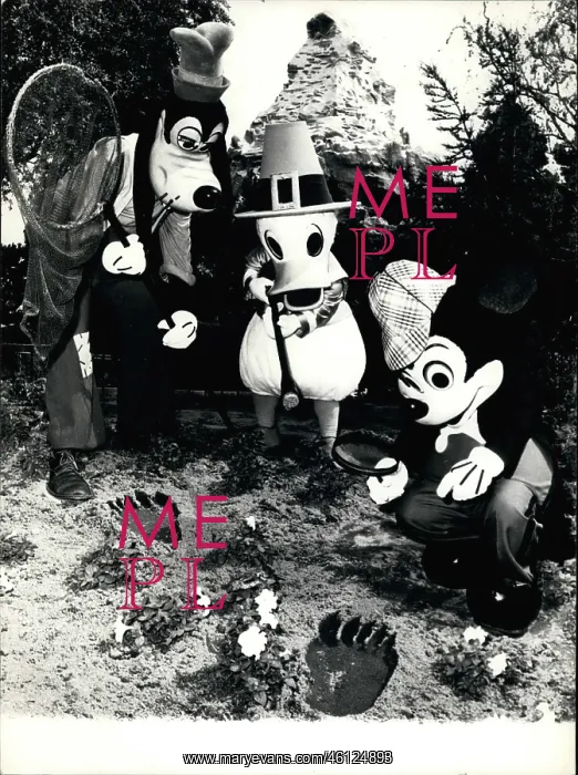 : Disneyland Theme Parks : Disneyland Theme Parks
