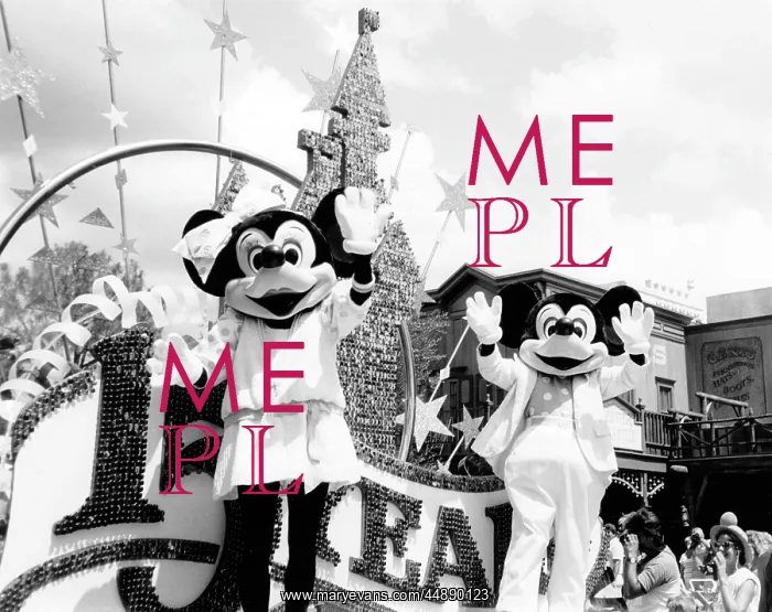 : DISNEYWORLD, FLORIDA : DISNEYWORLD, FLORIDA