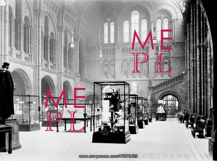 : Display cases in Central Hall, Natural History Museum : Display cases in Central Hall, Natural History Museum