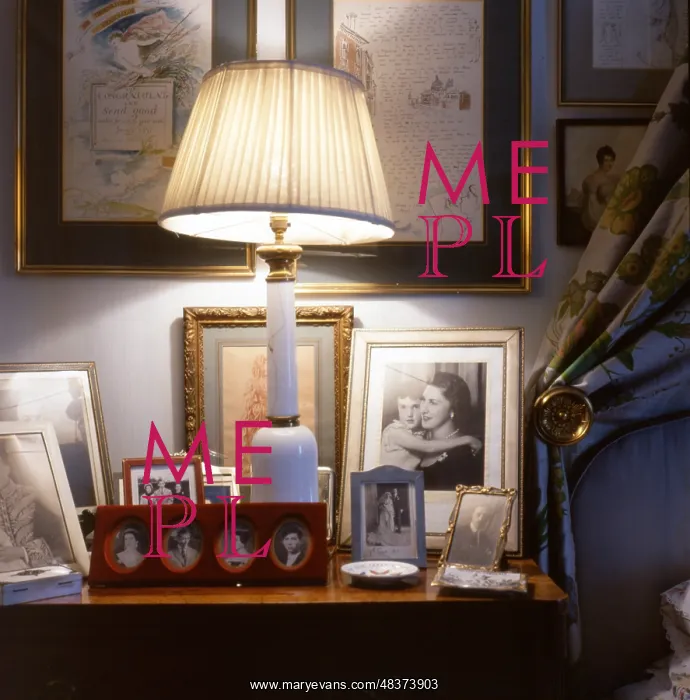  : Display of family photographs