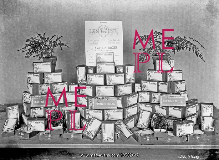 : A display of shamrock boxes on a table for sending to the tr : A display of shamrock boxes on a table for sending to the tr