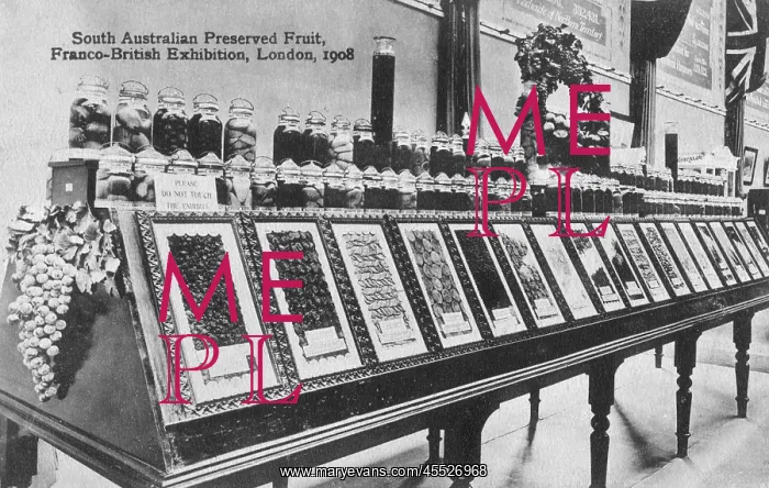 : Display of South Australian Preserved Fruit : Display of South Australian Preserved Fruit