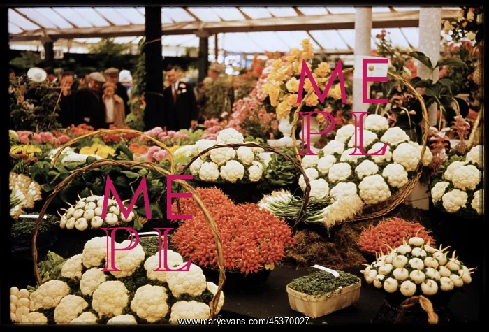 : A display of vegetables arranged in baskets : A display of vegetables arranged in baskets