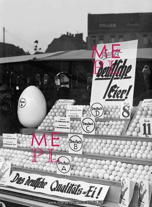 : Display window at an egg shop, 1935 : Display window at an egg shop, 1935