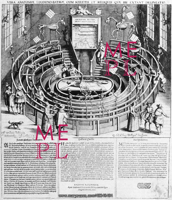 : Dissecting room at Leiden University, 1610 : Dissecting room at Leiden University, 1610