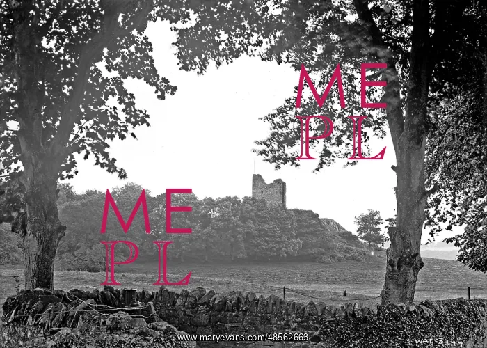 : Distant view of Audley's Castle, Strangford : Distant view of Audley's Castle, Strangford