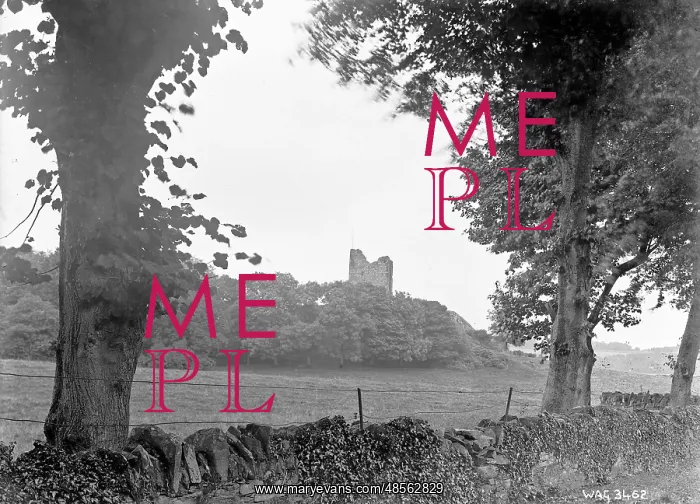 : Distant view of Audley's Castle, Strangford : Distant view of Audley's Castle, Strangford