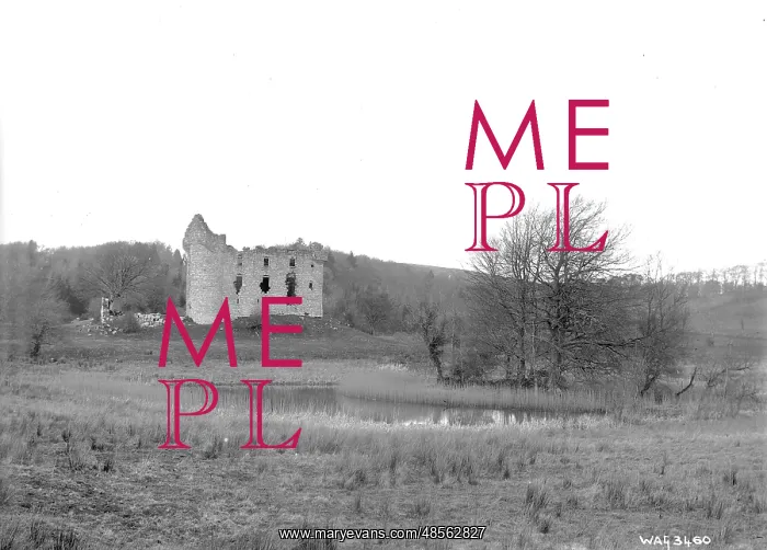 : Distant view of Monea castle, Fermanagh : Distant view of Monea castle, Fermanagh