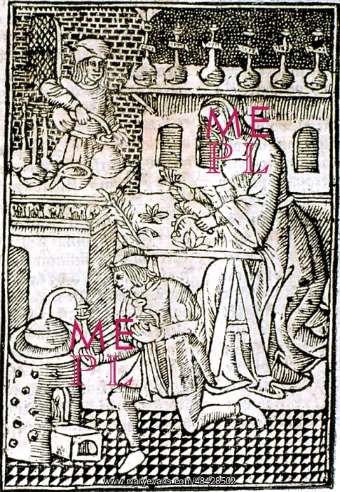 : Distillation of medicines. Female in centre is : Distillation of medicines. Female in centre is