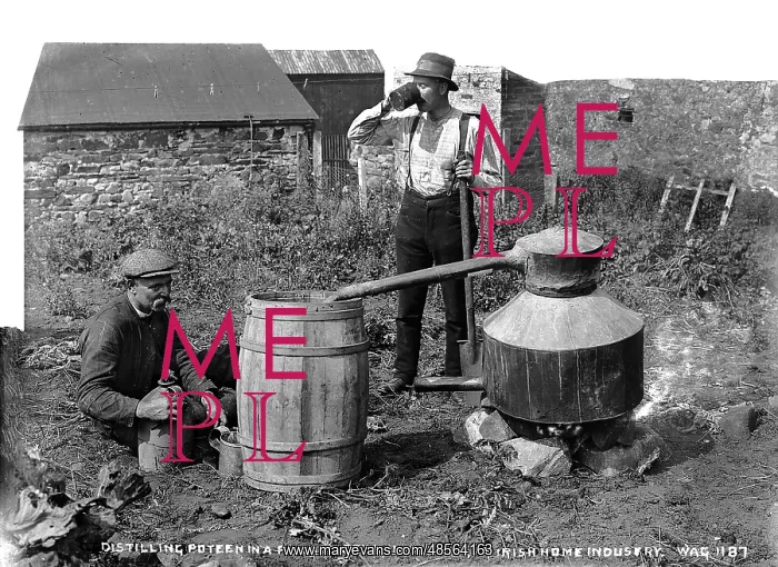 : Distilling Poteen in a Private Still, Inishowen, an Irish Ho : Distilling Poteen in a Private Still, Inishowen, an Irish Ho