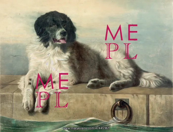  : A distinguished member of the Humane Society