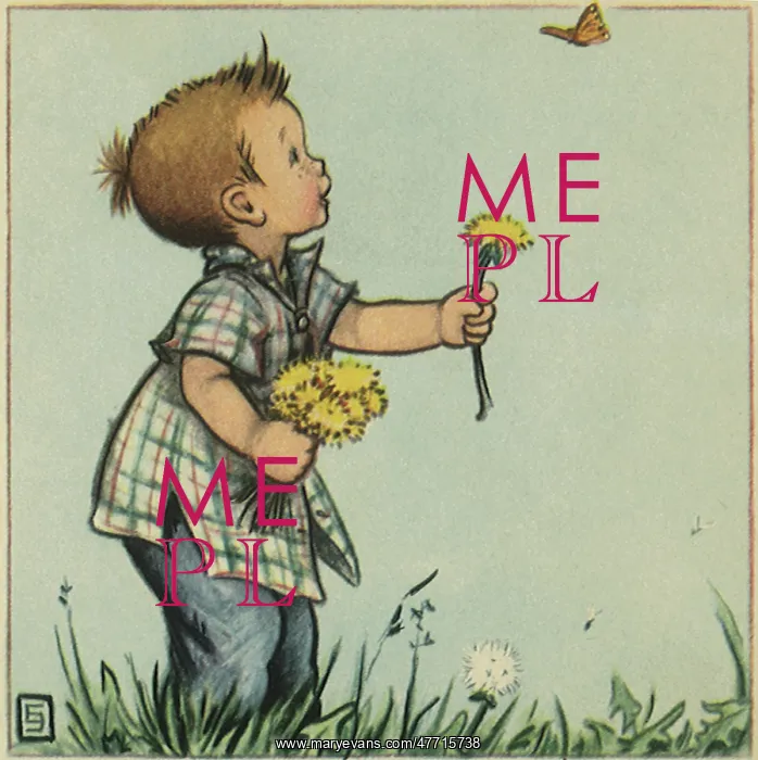 : Distracted by Butterfly : Distracted by Butterfly