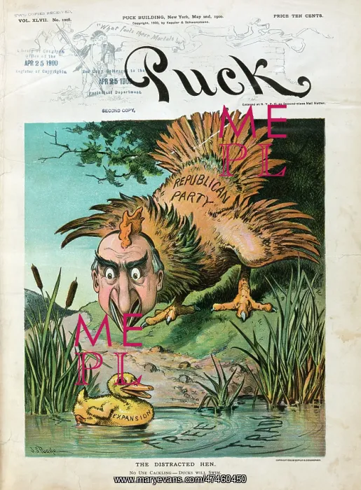 : The distracted hen : The distracted hen
