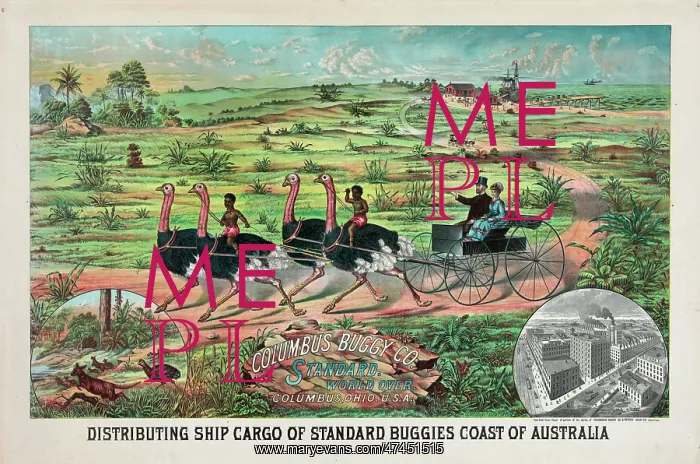 : Distributing ship cargo of standard buggies coast of Austral : Distributing ship cargo of standard buggies coast of Austral