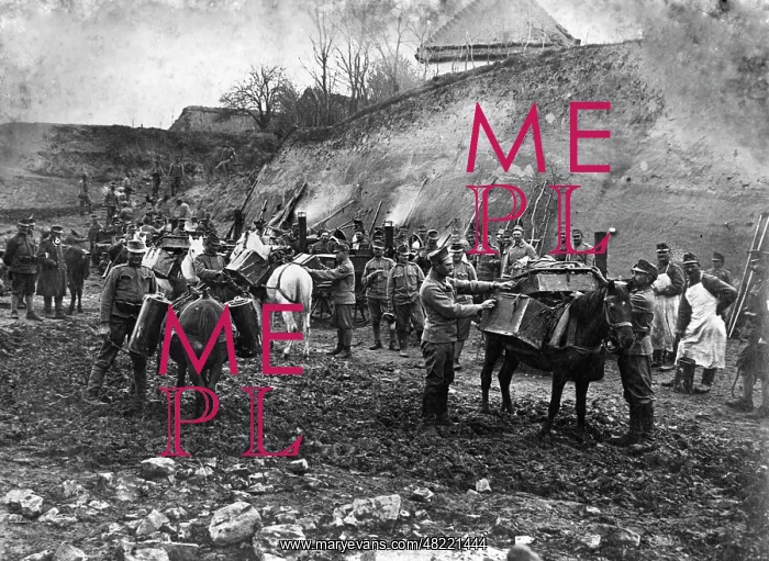 : Distribution of rations to the frontline troops, 1916 : Distribution of rations to the frontline troops, 1916
