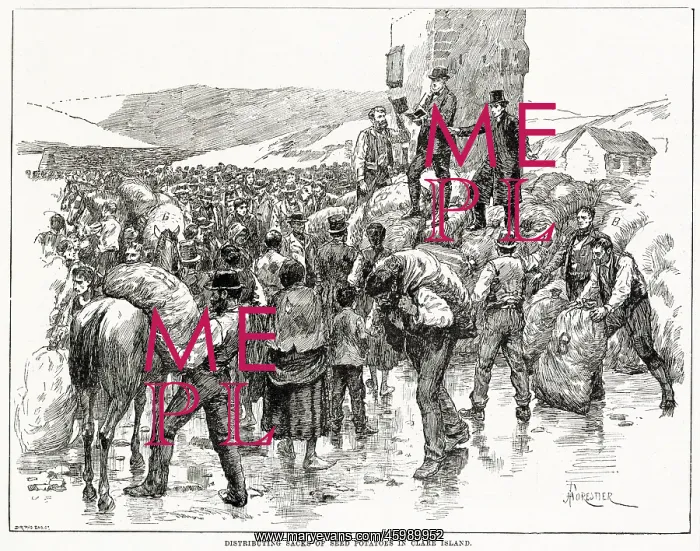 : Distribution of seed potatoes in Ireland 1886 : Distribution of seed potatoes in Ireland 1886