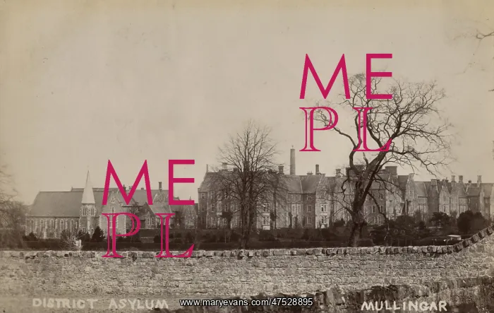 : District Asylum, Mullingar, County Westmeath, Ireland : District Asylum, Mullingar, County Westmeath, Ireland