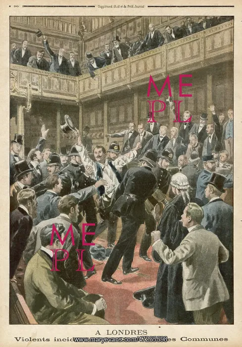 : DISTURBANCE IN COMMONS : DISTURBANCE IN COMMONS