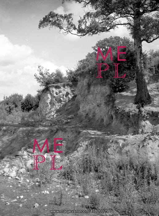: Disused quarry at Mereworth : Disused quarry at Mereworth