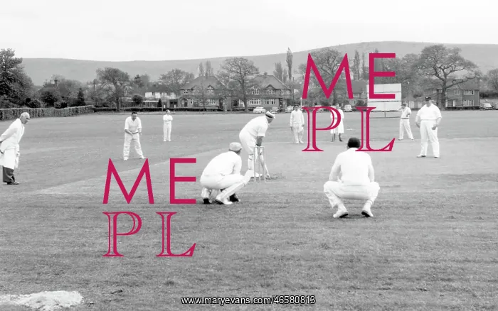  : Ditchling, the Cricket Field c1955