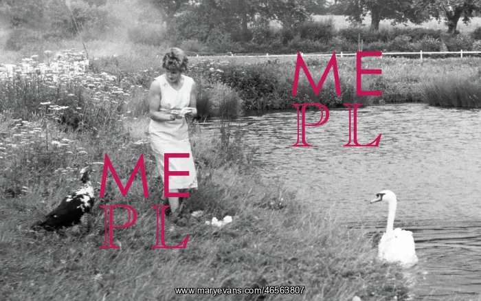  : Ditchling, Village Pond c1960