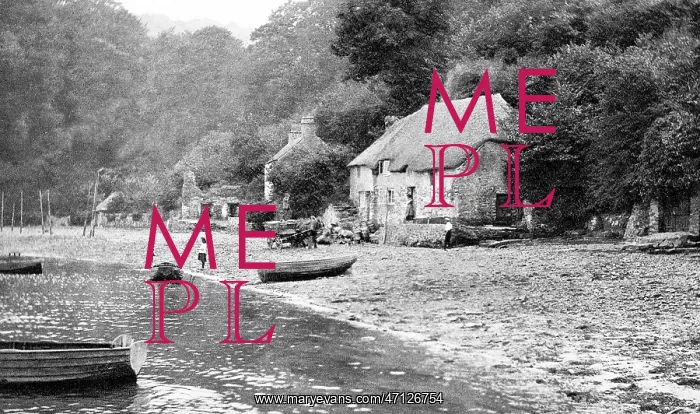  : Dittisham on the Dart
