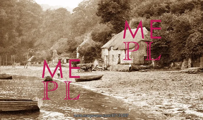  : Dittisham on the Dart