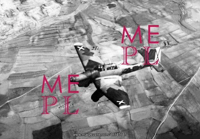 : Dive bomber of the Condor Legion in Spain, 1939 : Dive bomber of the Condor Legion in Spain, 1939