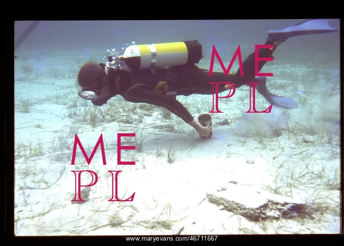 : Diver on the seabed : Diver on the seabed
