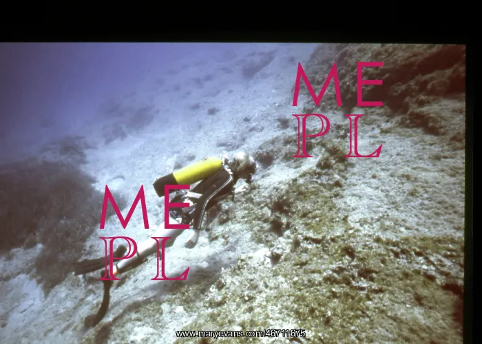  : Diver on the seabed