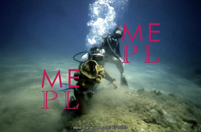 : Divers on the seabed off the coast of Malta : Divers on the seabed off the coast of Malta