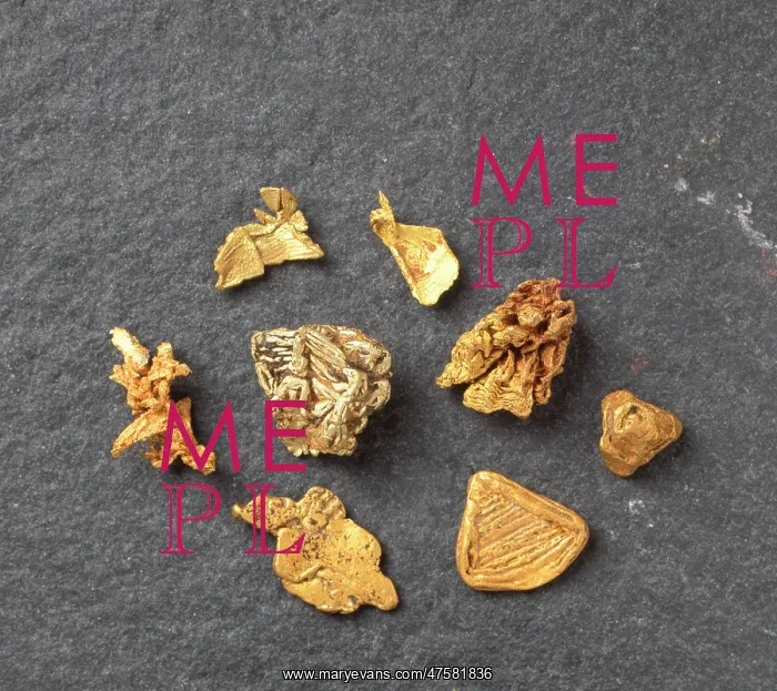 : Diverse gold nuggets : Diverse gold nuggets