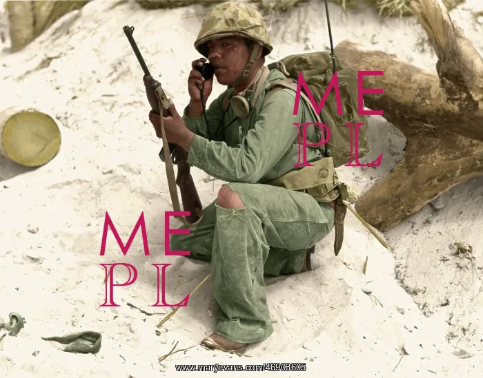 : Diverse WW2 Allies : Diverse WW2 Allies