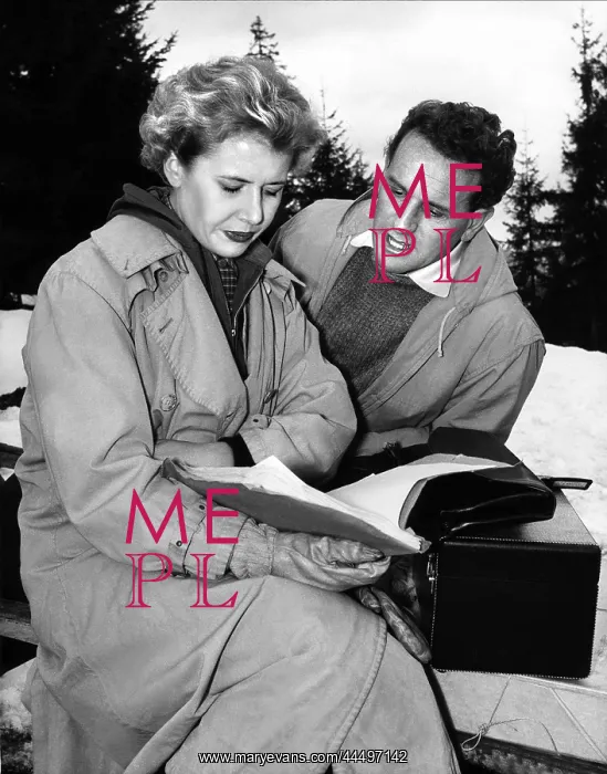 : The Divided Heart (1954) : The Divided Heart (1954)