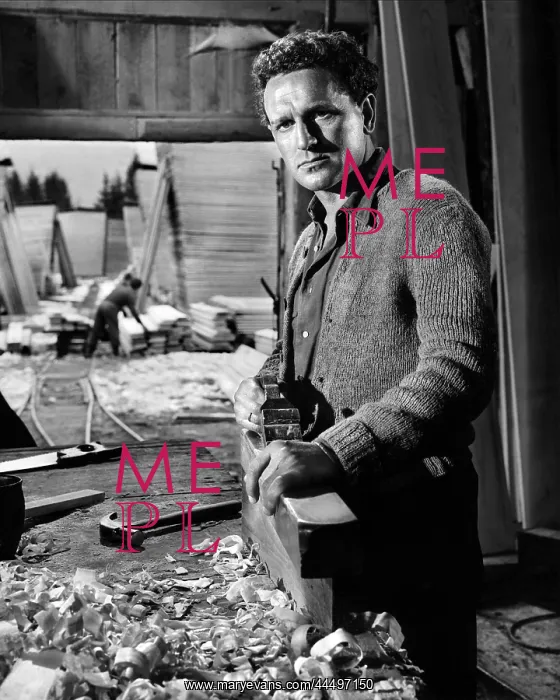 : The Divided Heart (1954) : The Divided Heart (1954)