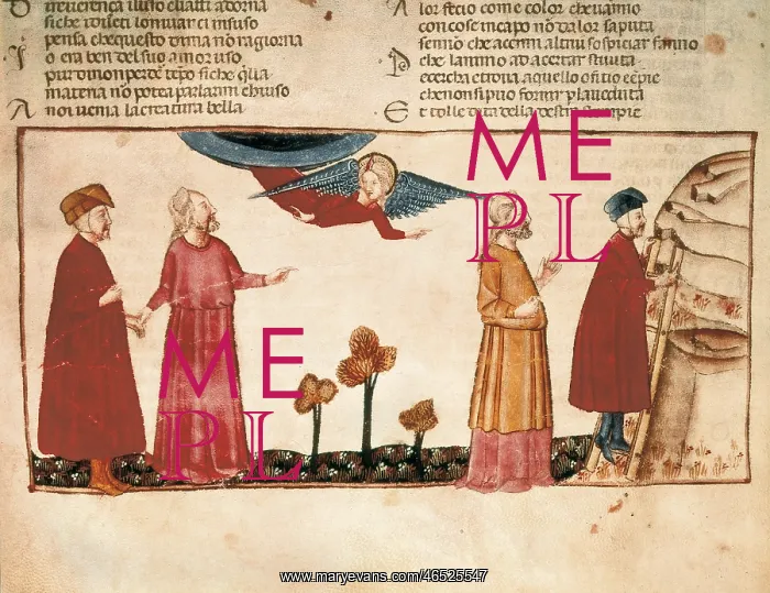 : The Divine Comedy : The Divine Comedy
