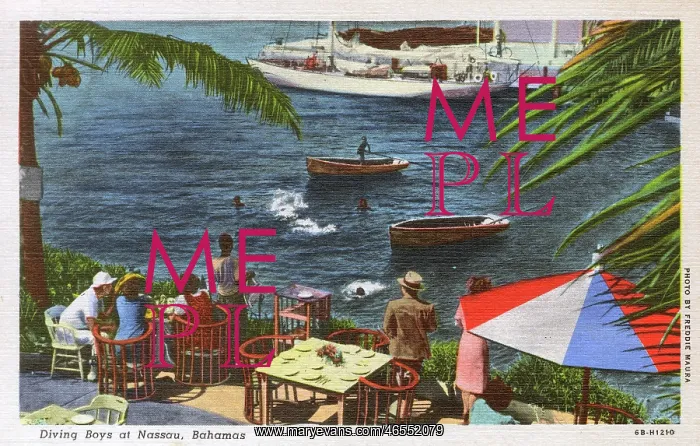 : Diving boys at Nassau, Bahamas : Diving boys at Nassau, Bahamas