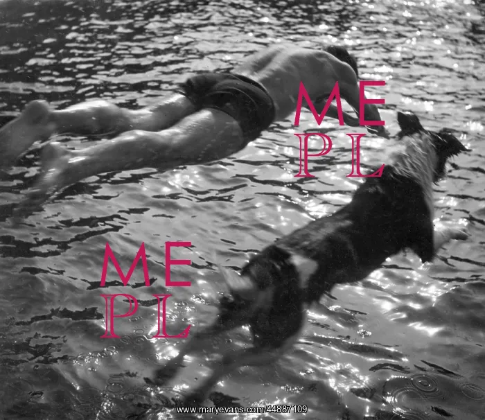  : DIVING DUDE & DOG