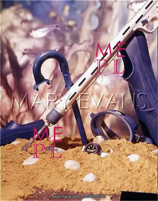 : DIVING EQUIPMENT : DIVING EQUIPMENT
