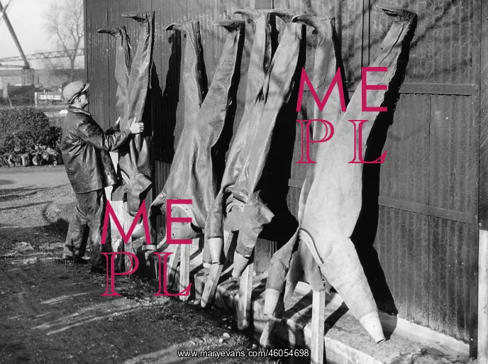 : Diving suits hung up to dry : Diving suits hung up to dry