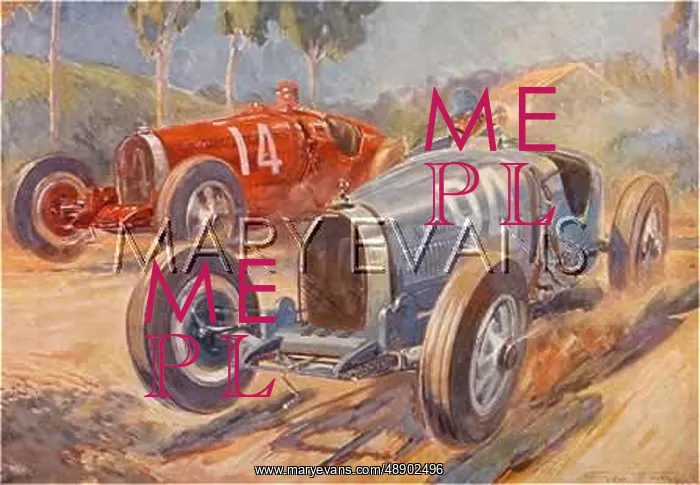  : DIVO IN A DELAGE