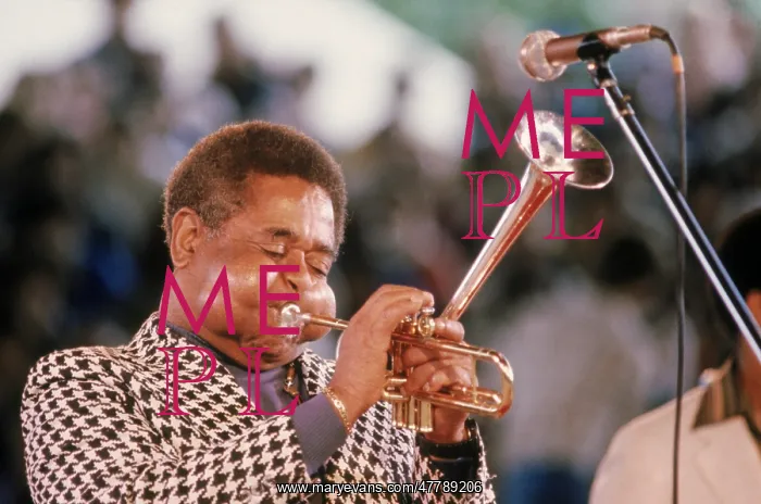 : Dizzy Gillespie, 1982 : Dizzy Gillespie, 1982