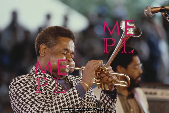 : Dizzy Gillespie, 1982 : Dizzy Gillespie, 1982