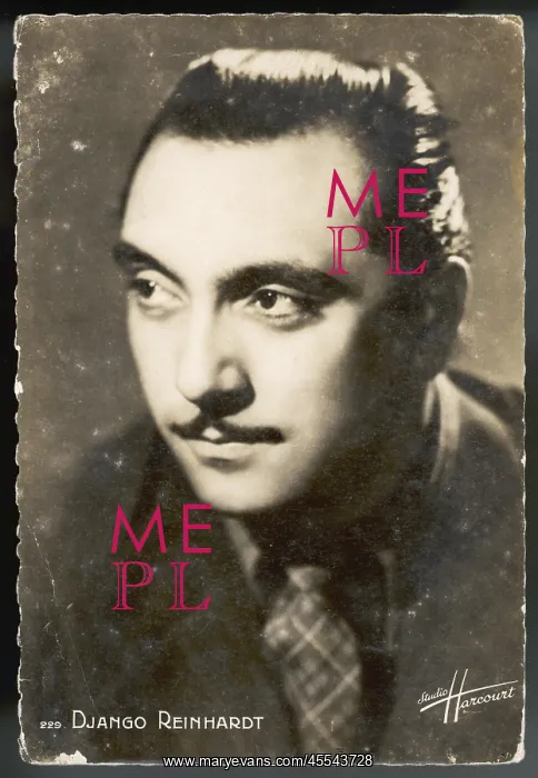 : Django Reinhardt : Django Reinhardt