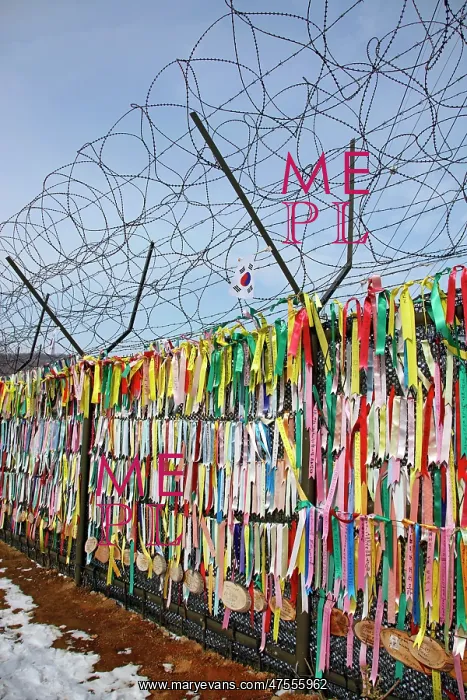 : DMZ, De-militarised Zone, South Korea : DMZ, De-militarised Zone, South Korea