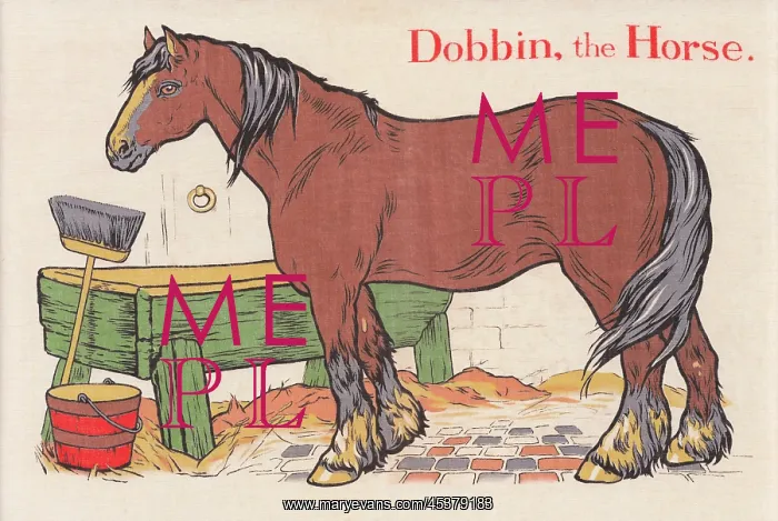 : Dobbin the Horse : Dobbin the Horse